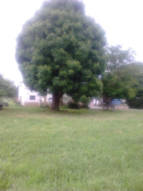 Apartamentos Rurales El Ferreiron カストロポル エクステリア 写真