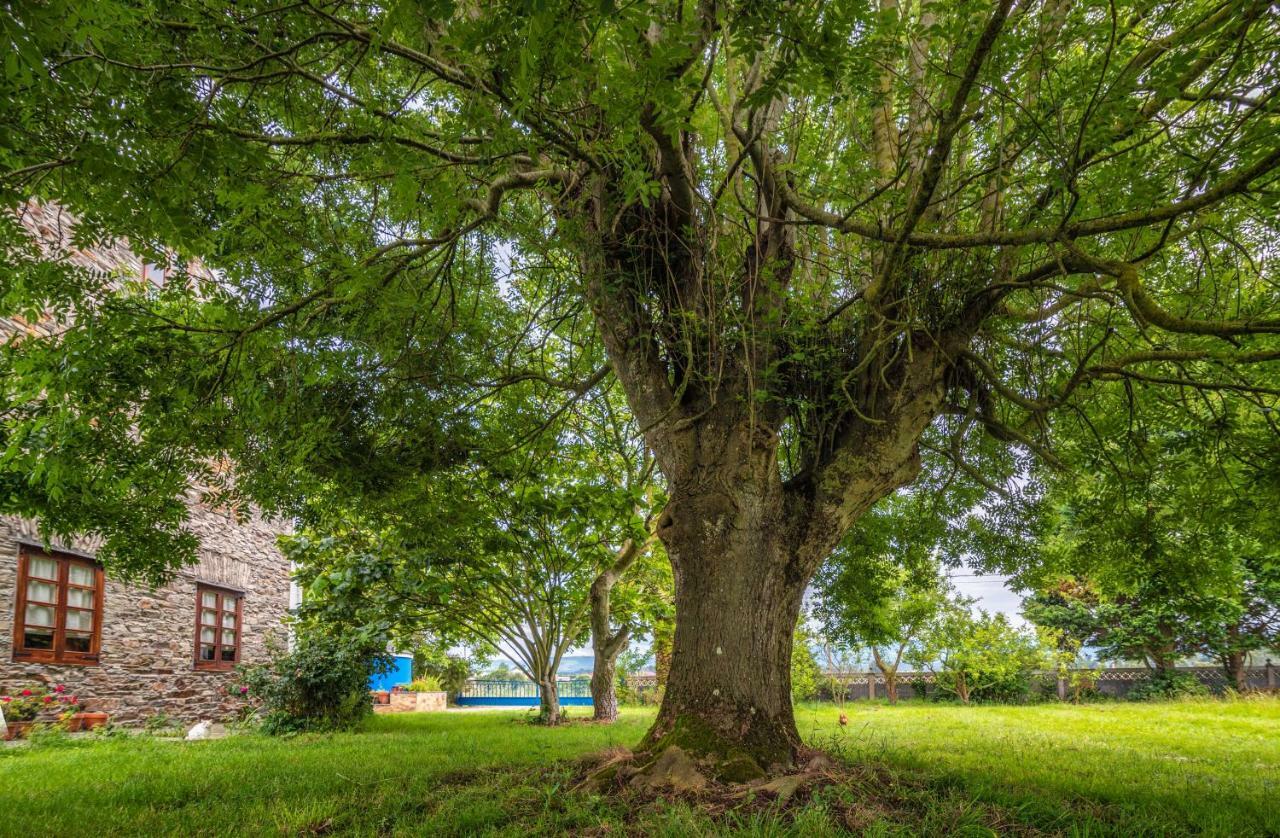 Apartamentos Rurales El Ferreiron カストロポル エクステリア 写真
